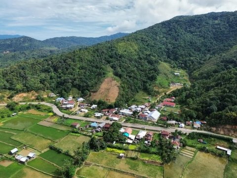 Buduk tumu